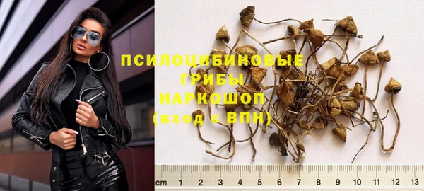 шишки Остров