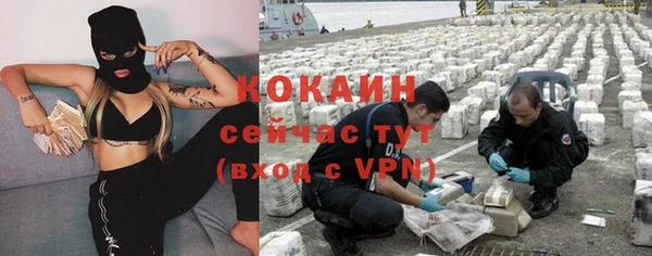 шишки Остров