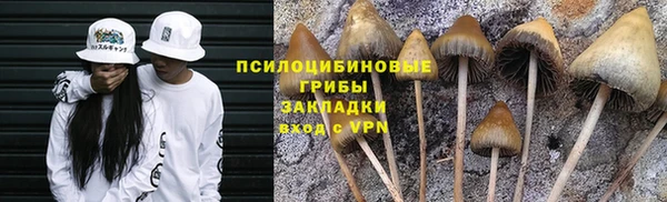 мескалин Осинники