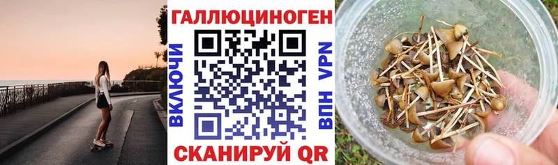 Галлюциногенные грибы мицелий  наркотики  Рославль 