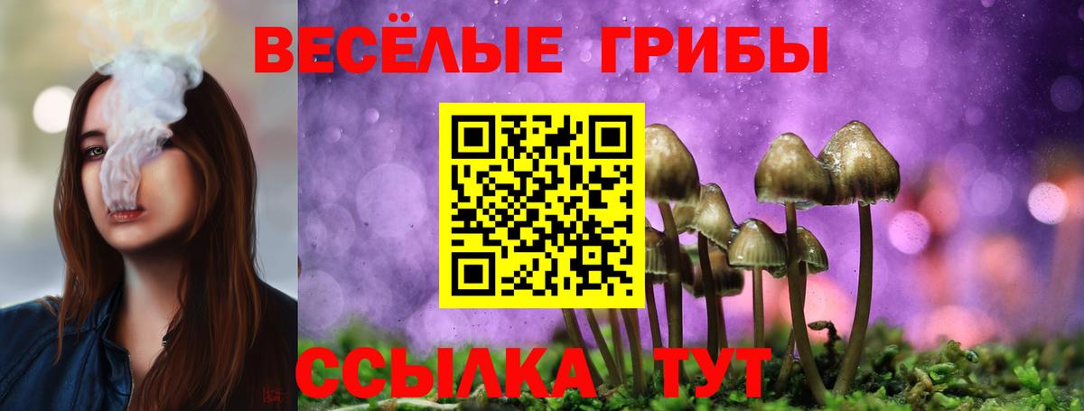 Рославль  Псилоцибиновые грибы Magic Shrooms  Вход с VPN 